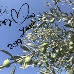 2019年賀状